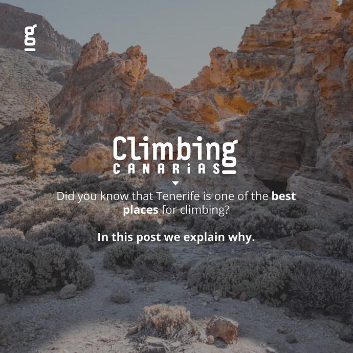 portfolio bakata marketing